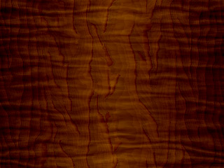 holz1
