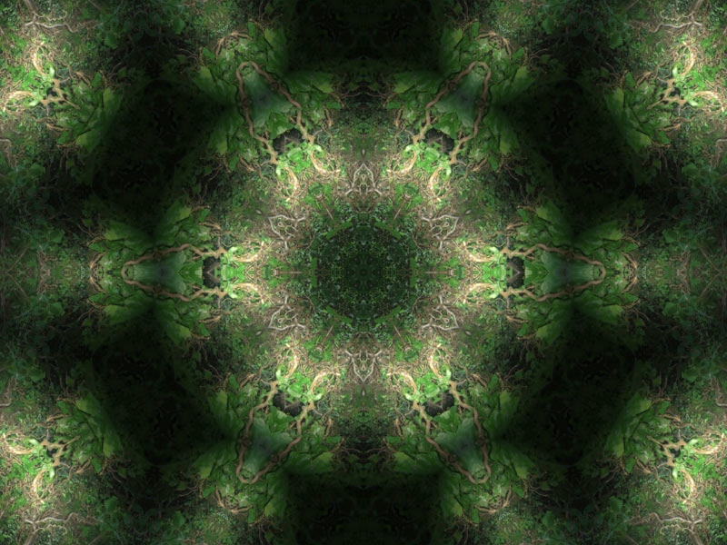 Natur Kaleidoskop