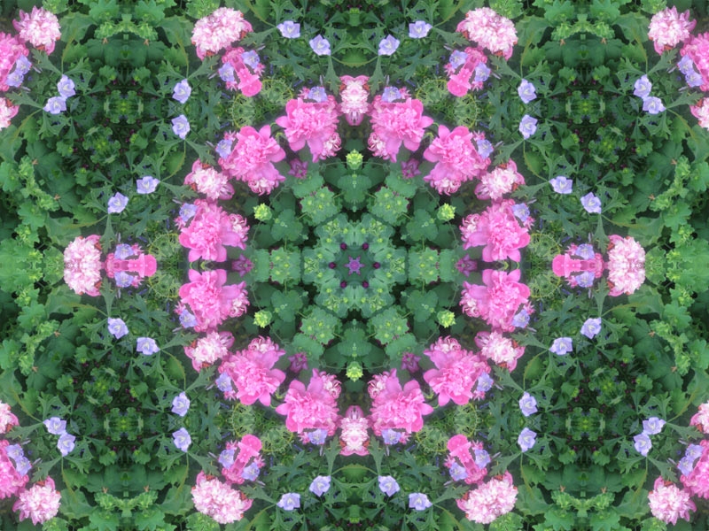 Natur Kaleidoskop