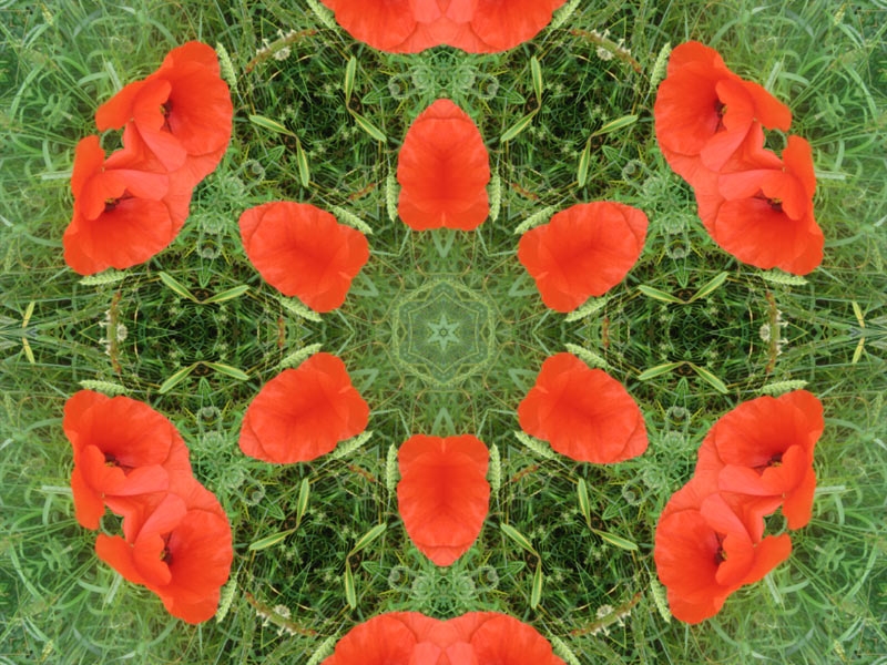 Natur Kaleidoskop