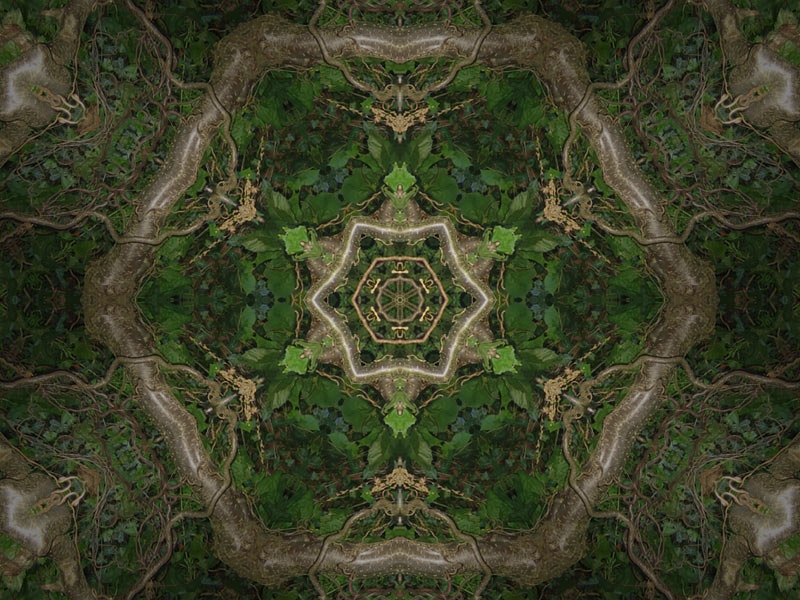 Natur Kaleidoskop