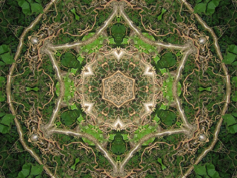 Natur Kaleidoskop