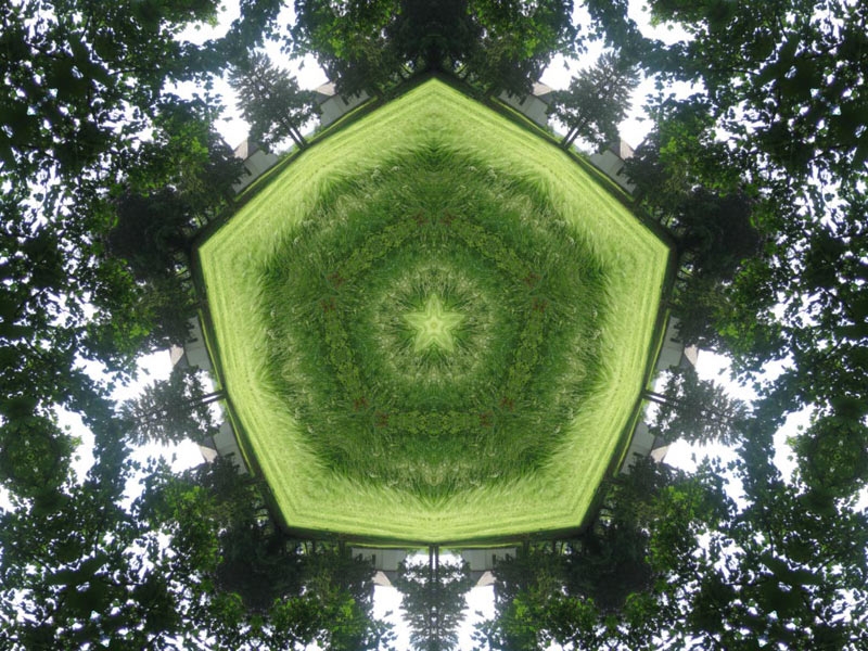 Natur Kaleidoskop