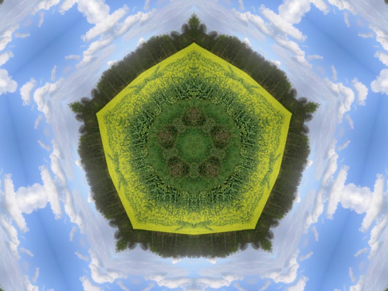 Natur Kaleidoskop