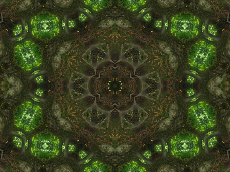 Natur Kaleidoskop