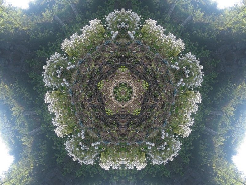 Natur Kaleidoskop