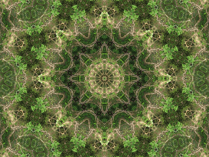 Natur Kaleidoskop